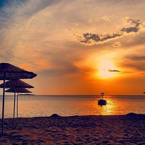 avsaadası